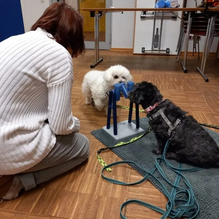Luna und Leo im Einsatz