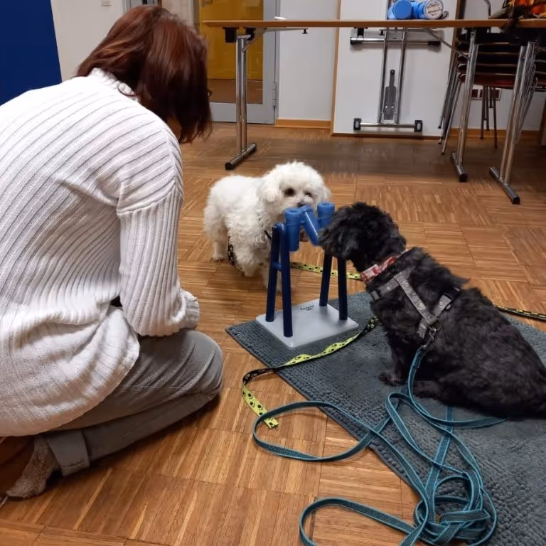 Luna und Leo im Einsatz